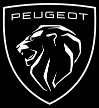 Goodridige remleidingen voor Peugeot